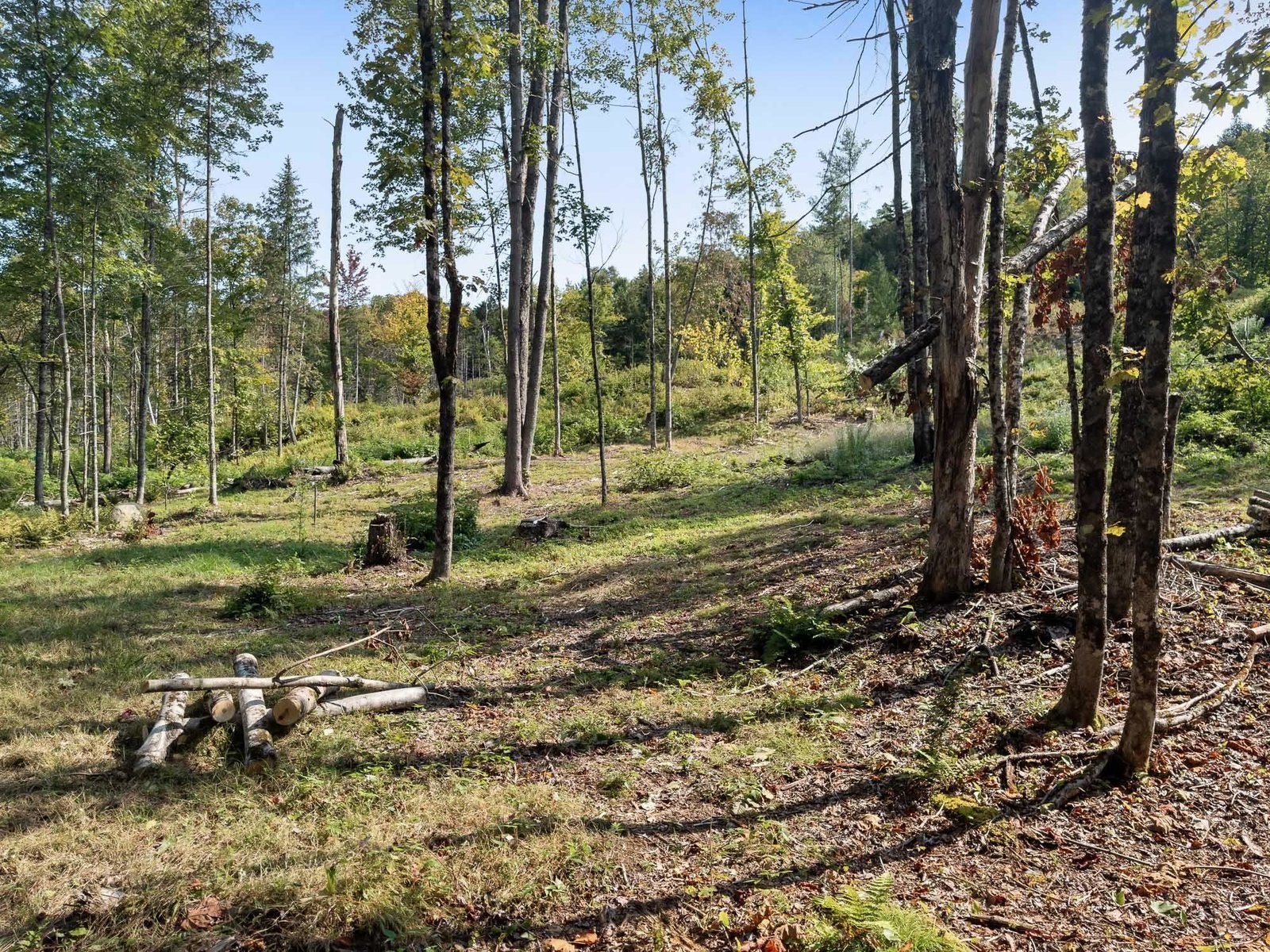 219 Weber Brook Lane, Craftsbury