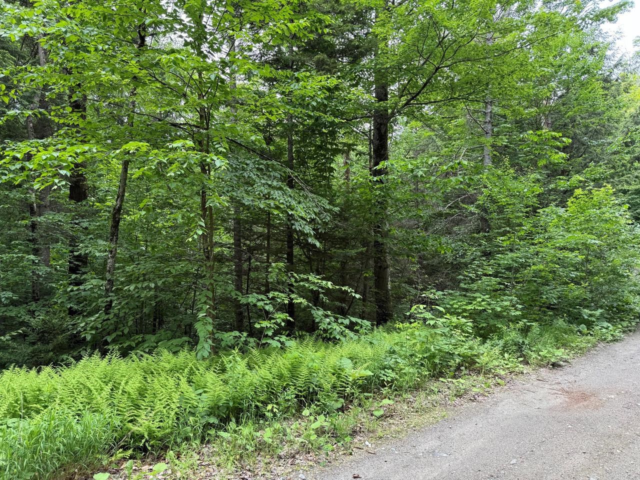 219 Woodbury Mountain Road, Calais