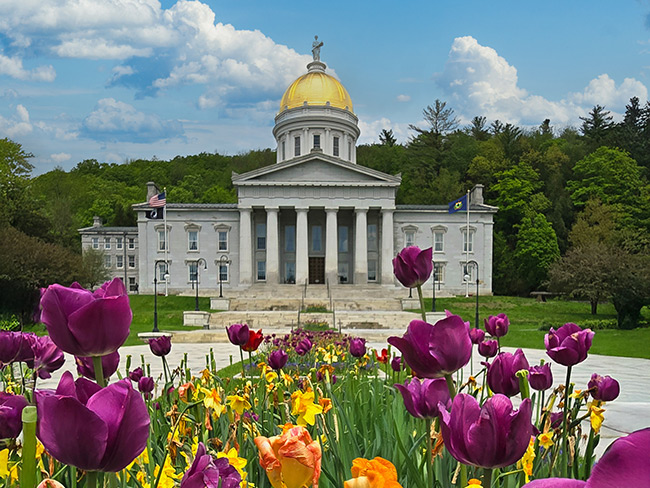 Capital Building in Spring Tulips