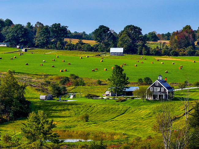 Charlotte landscape
