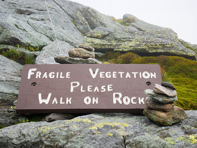 Fragile Vegetation Sign Camels Hump