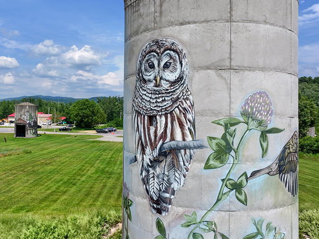 Jeffersonville silos 1