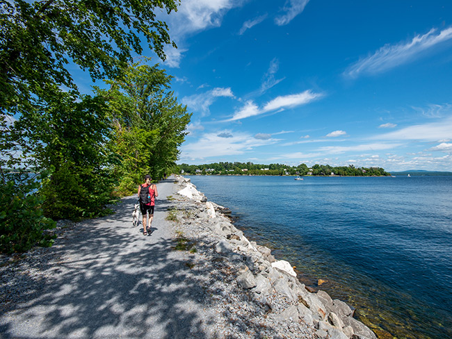 Landscape Lake Front DT 2