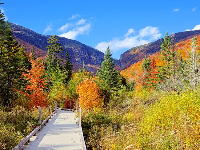 Smuggler Notch Fall Boardwalk 1