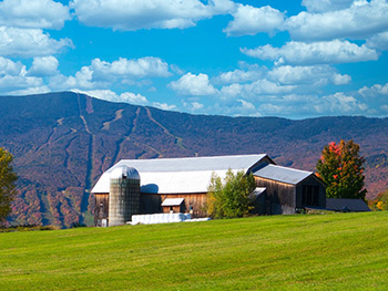 Sugarbush resort in fall