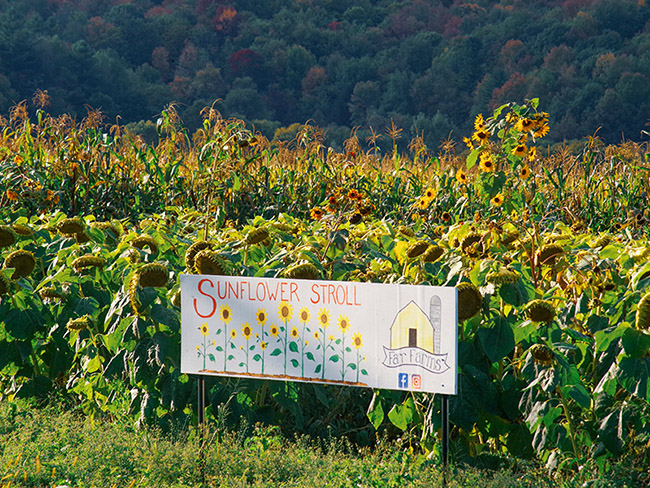 farr farm richmond